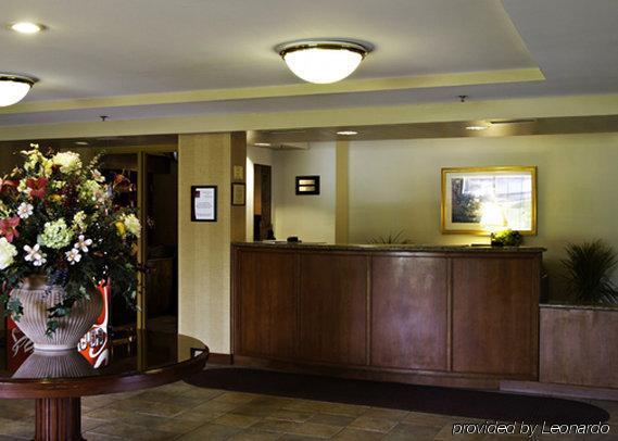 Holiday Inn Baltimore BWI Airport By Ihg Linthicum Intérieur photo